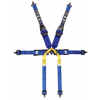 TRS superlite 6 point harness